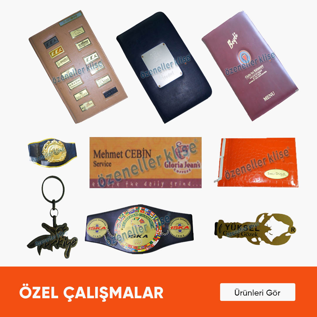 Özel Çalışmalar